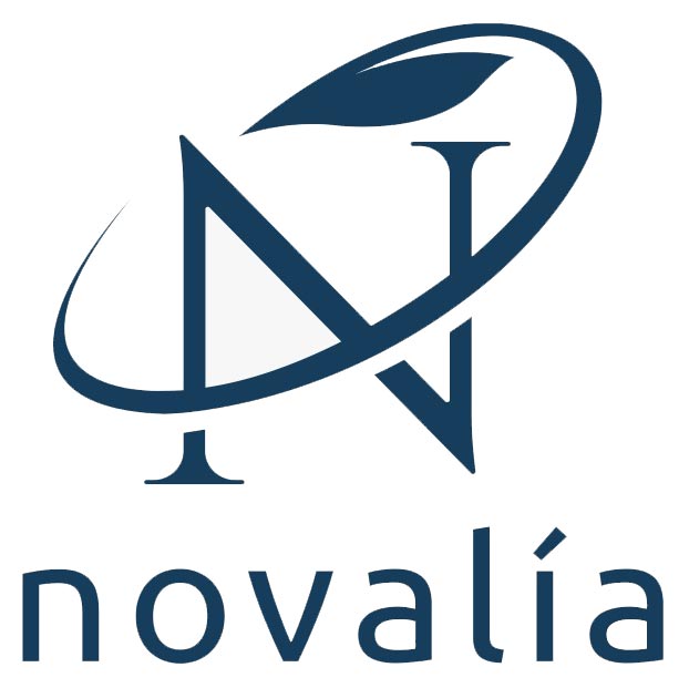 Logo NovaliaInstallateur de pompe à chaleur et climatisation à Rennes - Novalia